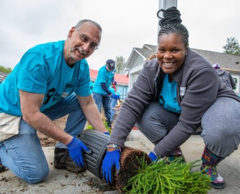 volunteers help by planting a tree