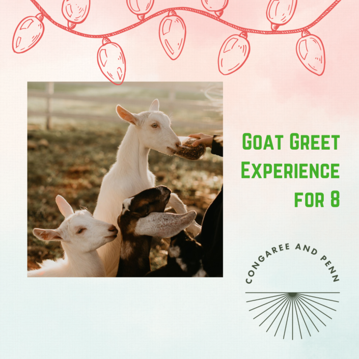 goat greet experience for 8