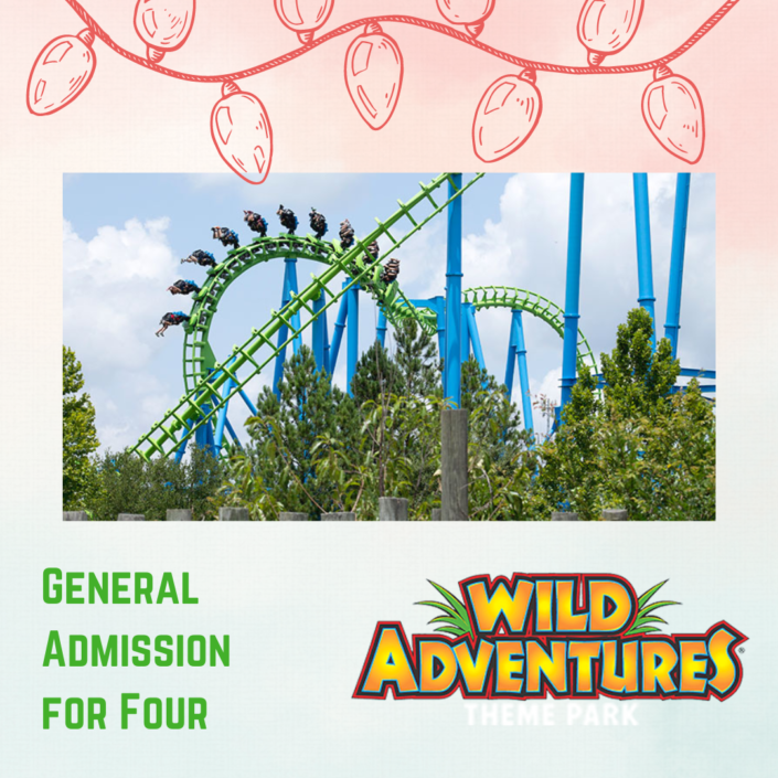 general admission for four at wild adventures