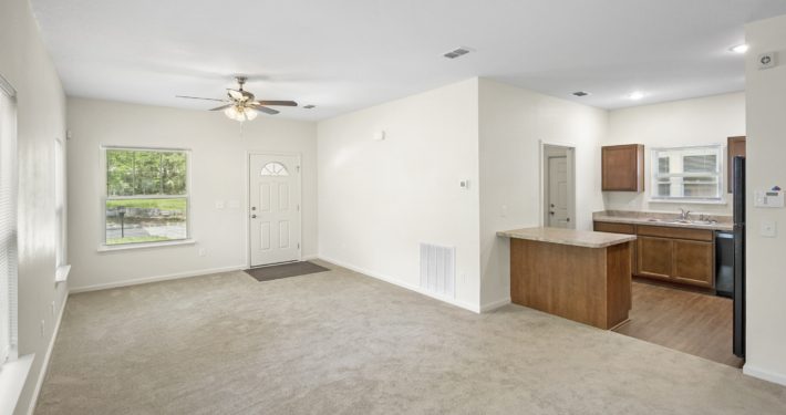 kitchen and living room