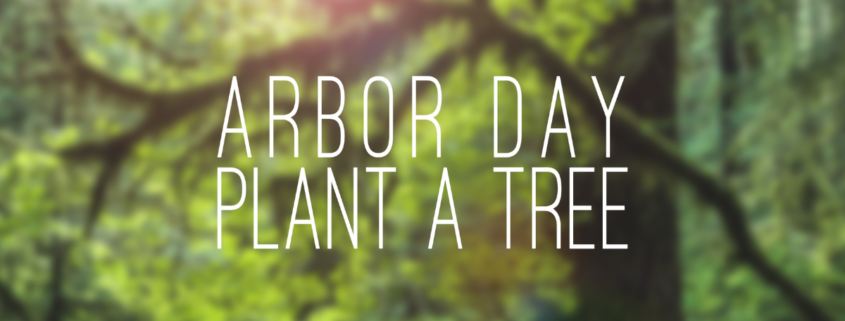 arbor day plant a tree graphic
