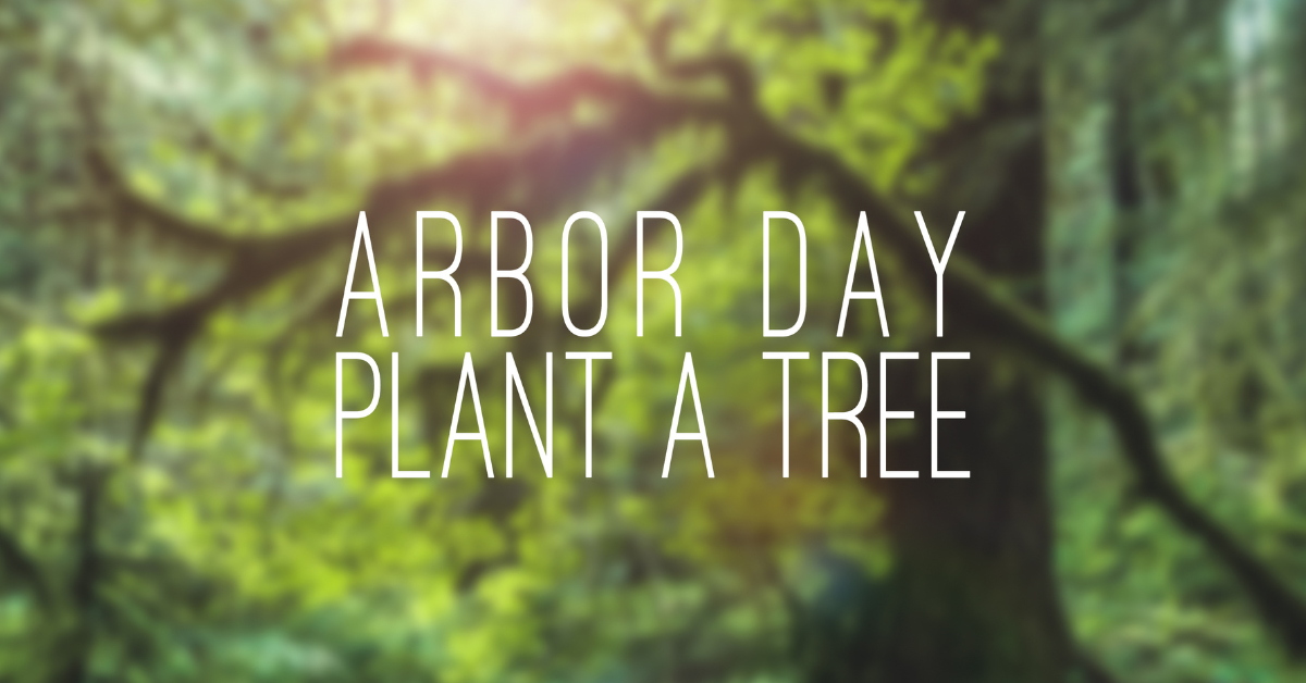 arbor day plant a tree graphic